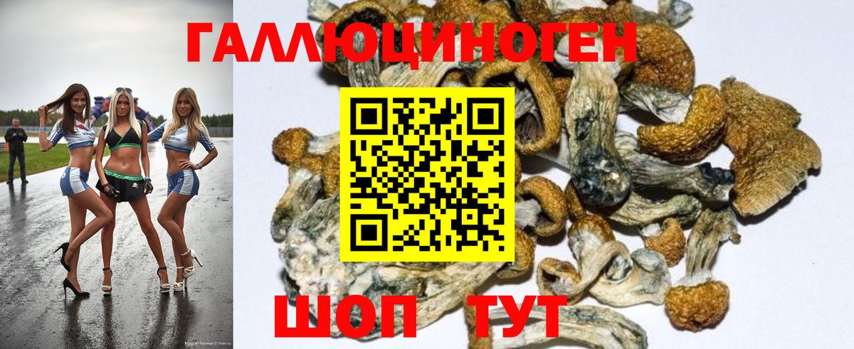 Псилоцибиновые грибы Psilocybe  Вход с VPN  купить  сайты  Октябрьский 